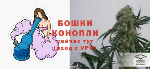 дурь Богданович