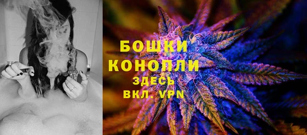 дурь Богданович