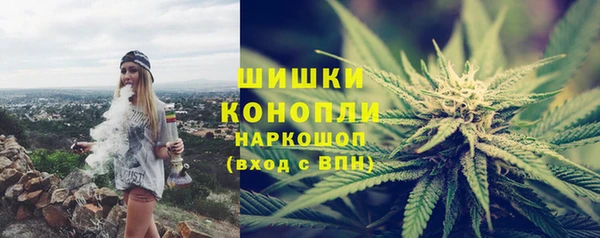 дурь Богданович