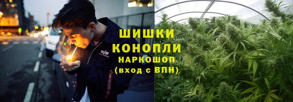 дурь Богданович