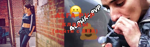 дурь Богданович