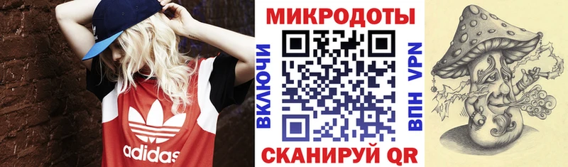купить наркотик  Волжск  Галлюциногенные грибы прущие грибы 
